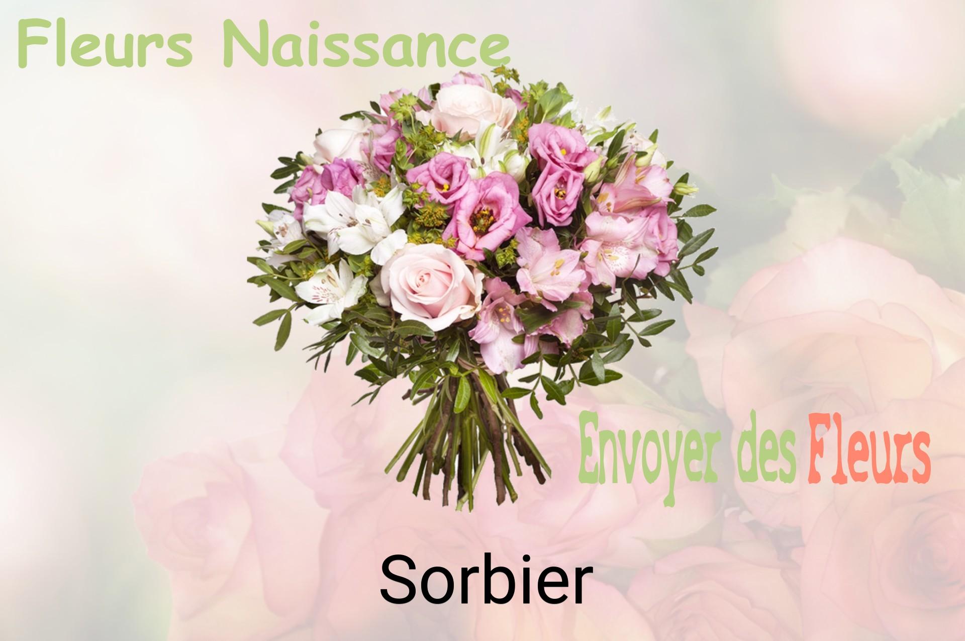 Bouquet de fleurs de naissance livré à Sorbier